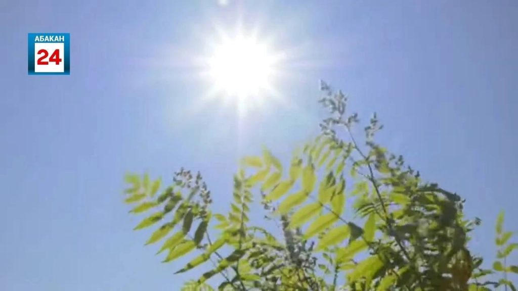 +35°С и выше: опасная жара пришла в Хакасию, она задержится на несколько дней — с 25 по 28 июля
