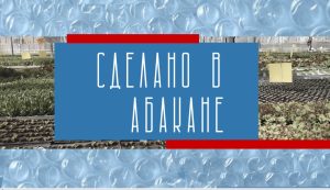 Сделано в Абакане: «Лучшие в бизнесе»-истории успеха