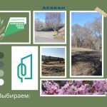 Жителей столицы Хакасии приглашают выбрать территории для благоустройства