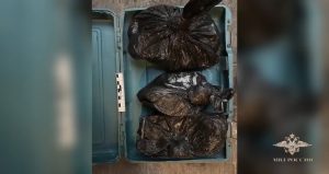 Более 60 кг. «золотого песка» похитили сотрудники золотодобывающего предприятия в Красноярском крае