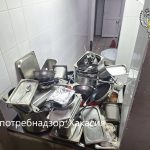 Персонал готовил из просрочки и нарушал гигиену: в абаканском кафе отравились 7 человек