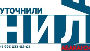 Рубрика «Уточнили»: нарушение комендантского часа, замена полиса ОМС, тестирование ГТО