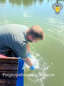 Десять пляжей в Хакасии отвечают санитарным нормам