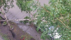 Ливень, град и сильный ветер : стихия обрушилась на Саяногорск