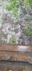 Град покосил огороды в Абакане на Нижней Согре