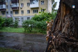 Участок улицы Ивана Ярыгина перекроют в Абакане