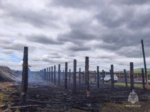 Молния спалила коровник в Боградском районе