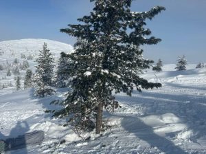 Из-за гибели девочки на горнолыжной трассе в Ергаках задержан абаканский предприниматель