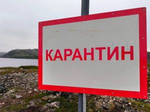 Очаг сибирской язвы найден у соседа Хакасии
