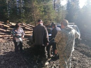 В Хакасии золотодобытчики, нанесшие урон природе, свернули свою деятельность