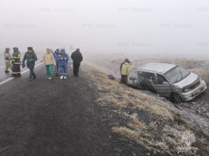 Трое пассажиров погибли в перевернувшемся под Пригорском микроавтобусе