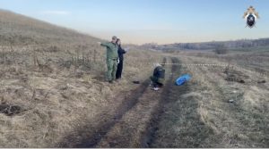 Собаки загрызли 10-летнего мальчика в Красноярском крае