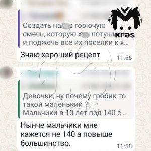 Попытались списать на шутку свои высказывания: в Красноярске допрошены активисты, открывшие травлю родителей погибшего ребёнка