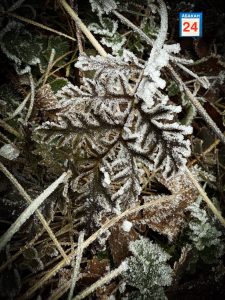 Климатическая осень в Хакасии длилась не больше 10 дней