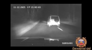 Прострелили колесо: в Шушенском госинспекторы задержали бесправника лишь с помощью табельного оружия