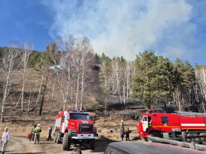 Почти миллион рублей выплатил житель Шушенского района-по его вине сгорело 5 га леса