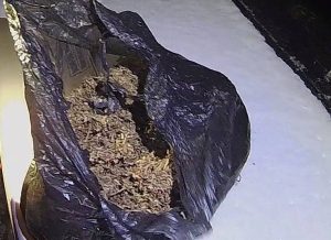 Водителя, перевозившего пакет марихуаны, поймали в Хакасии