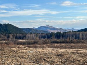 Приговора в Хакасии ожидает охотник, случайно застреливший друга