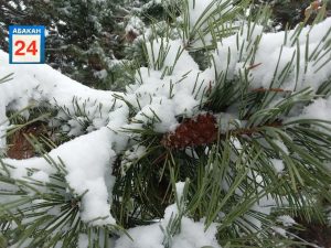 Снег, оттепель и ветер принесёт завтра циклон в Хакасию