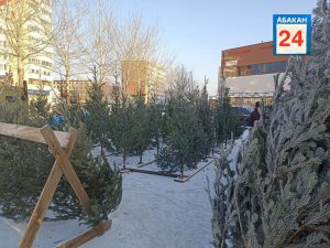 ‎Ёлочные базары проверят в Хакасии‎