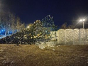 Сильный ветер уронил ель в Преображенском парке Абакана