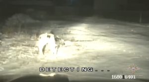 ‎Новорожденного телёнка спасли полицейские в Шушенском районе