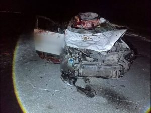 Лошадь на вечерней трассе стала причиной серьёзного ДТП в Хакасии