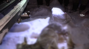 Браконьеры, застрелившие косуль из нелегального оружия, задержаны в Хакасии