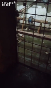 Жилой дом в Шира 5 год тонет в канализационных стоках -жители обратились к президенту во время прямой линии