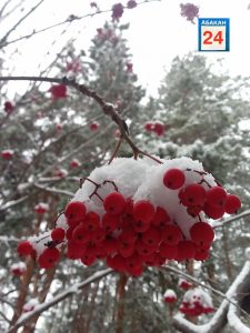 До -30° и ниже: в Хакасию придут морозы