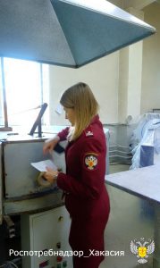 Повсюду крысы и их экскременты: за грубые нарушения и антисанитарию суд на 3 месяца  закрыл пекарню в Абакане