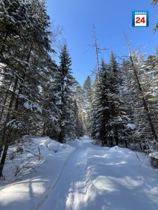 Резкое похолодание и метель: в Хакасии испортится погода