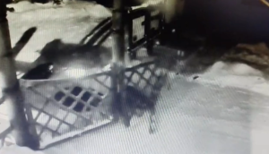 Катаясь на плюшке, дети сломали ограждение в нац парке Шушенский бор