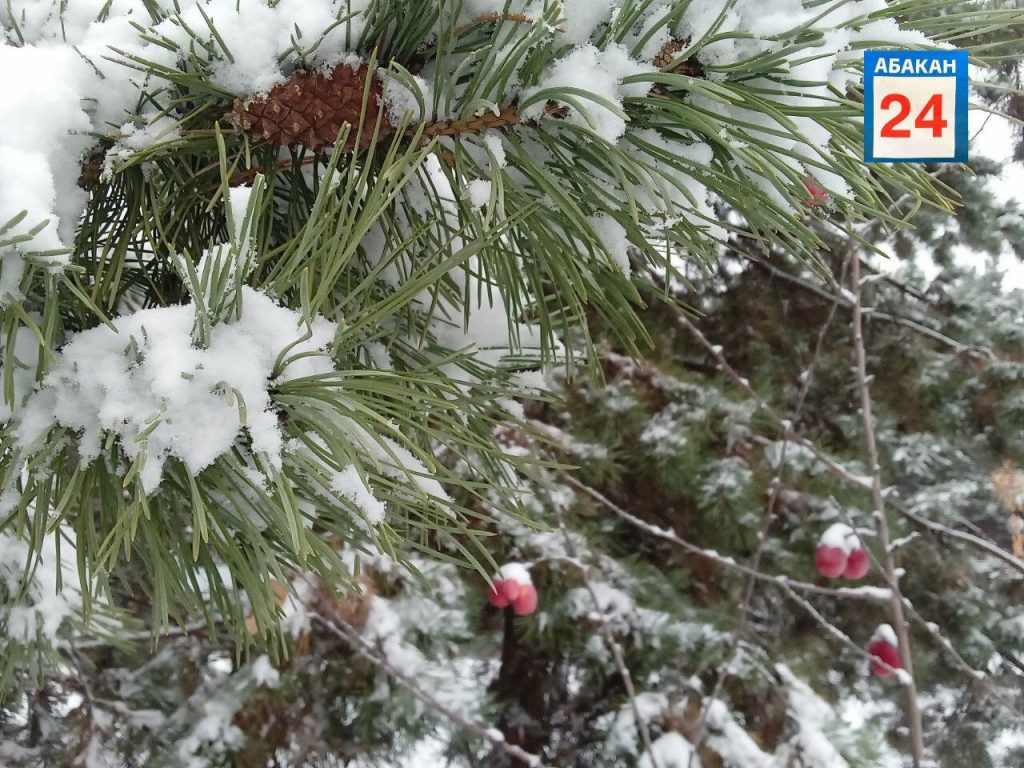 Небольшой снег обещают Хакасии синоптики
