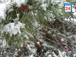 Небольшой снег обещают Хакасии синоптики