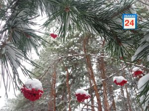 Сильный ветер сегодня ожидается в Хакасии