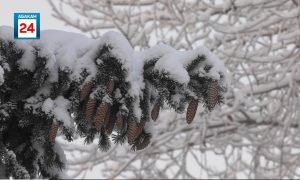 Небольшой снег и ветер: погода в Хакасии на 8 января