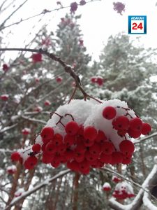 Сильный порывистый ветер накроет Хакасию