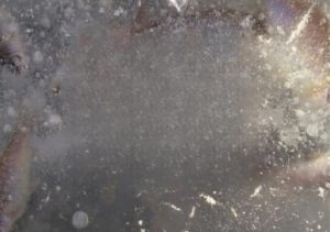 ‎Вдоль по руслу на протяжении 10 км: массовый замор рыбы в Хакасии