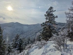 Прошли почти тысячу километров: 40 дней экологи рейдовали в Саяно-Шушенском заповеднике
