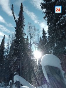 Морозы за -30 принесёт циклон в Хакасию