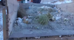 Свалка и слив отходов в чистом поле: экологи Хакасии ловили нарушителей в праздничные дни