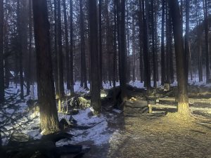 Трое человек сгорели в гостевом доме на турбазе в Хакасии