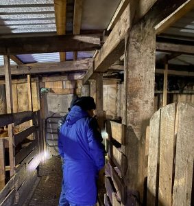 23 года колонии строгого режима получил изверг, убивший в стайке для скота школьницу в Ужурском районе