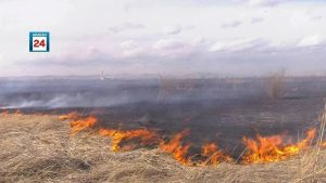 ‎Пожароопасный сезон официально объявлен в соседствующих с Хакасией лесничествах