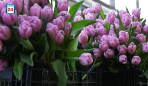 Запчасть для авто, квартира и… противогаз: женщины назвали самые необычные подарки на 8 Марта