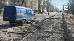 Тополь упал на авто «ритуальщиков» по Ярыгина в Абакане