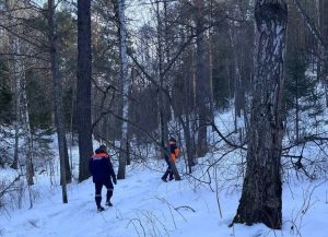 Прошли 25 км. горных троп: спасатели и волонтёры четвёртые сутки ищут пропавшего на красноярских «Столбах» мужчину