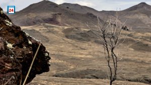 Теплым и дождливым апрель в Хакасии прогнозируют синоптики