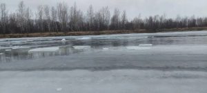 7-летний мальчик погиб, выйдя на тонкий лед в соседнем Минусинском округе